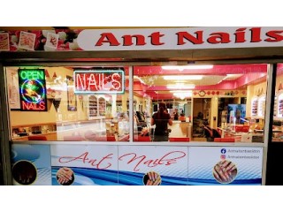 ANT nails