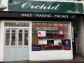 the-orchid-studio-beckenham-small-0