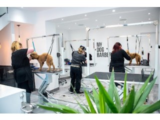 My Dog Barber (Chester le Street)